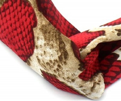 haarband-snake-rood