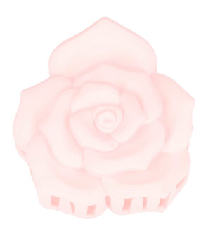 Haarklemmen Set XL Roos Bloemen 6 Stuks Color