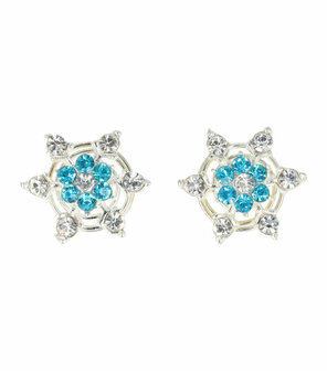 Curlies Strass IJs Bloem Zilver Blauw