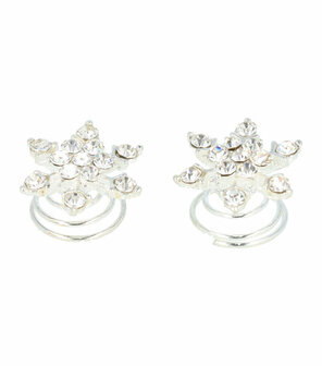 Curlies Strass IJs Bloem Zilver