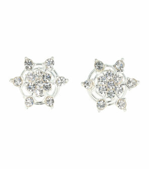 Curlies Strass IJs Bloem Zilver