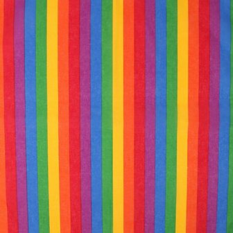 Haarband Bandana Zakdoek Regenboog Print Multi Color Blauw Groen Geel Rood