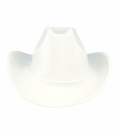 Cowboyhoed Velvet Wit