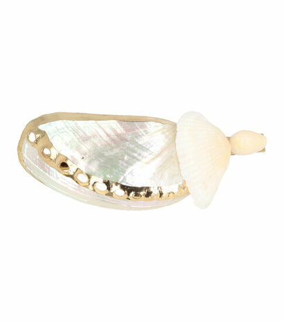 Haarspeld Duckklem Schelpen Parelmoer Goud Creme