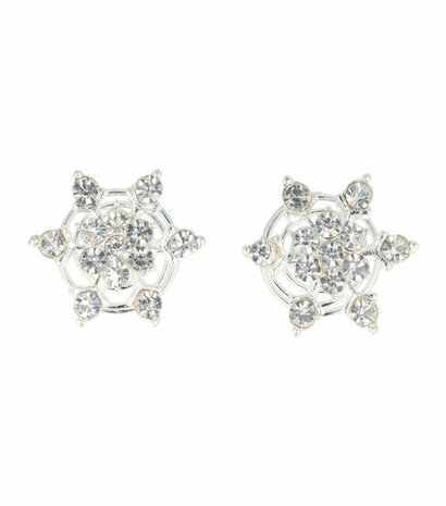 Curlies Strass IJs Bloem Zilver