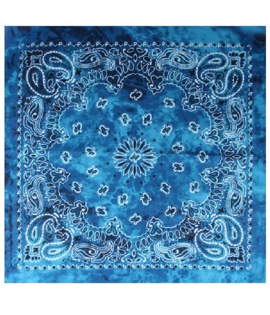 Haarband Bandana Zakdoek Tie Dye Paisley Print Blauw