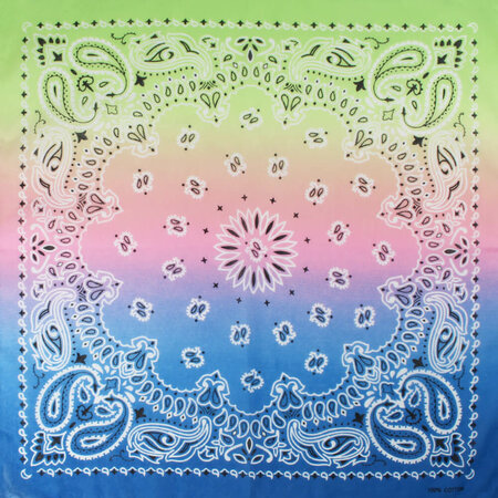Haarband Bandana Zakdoek Paisley Print Pastel Roze Groen Blauw