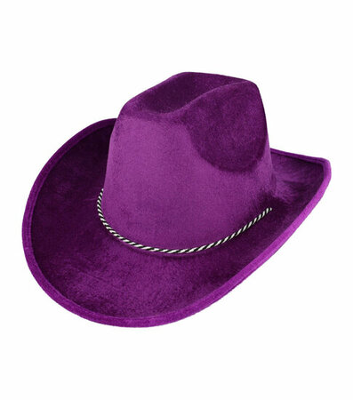 Cowboyhoed Velvet Paars
