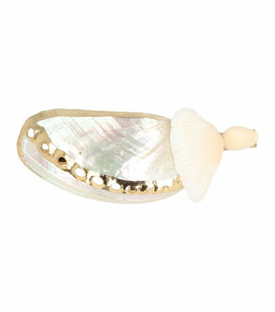 Haarspeld Duckklem Schelpen Parelmoer Goud Creme