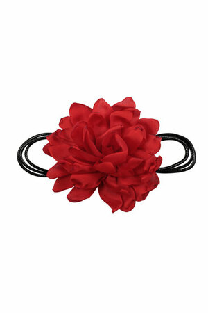 Haarband Veter Bloem Rood