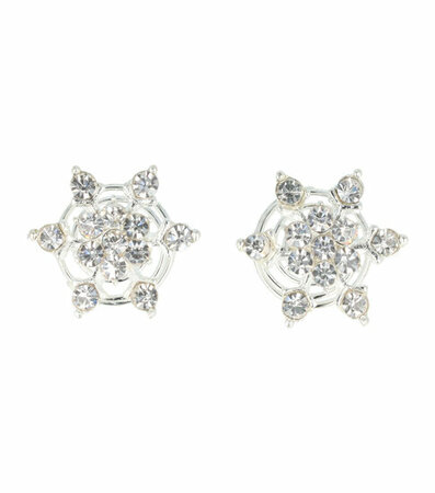 Curlies Strass IJs Bloem Zilver