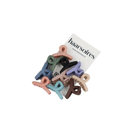 Haarspeld Klemmen Set Klein Hart 2,5cm Color Naturel