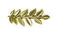 Haarspeld Clip Leaf Goud