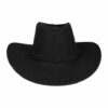 2095393548 Cowboyhoed - Western Hoed in Linnenlook - One Size - Zwart