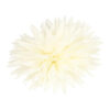2099684862 Haarspeld Duckklem 12cm – Haarbloem Aster – Creme