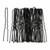 2110581957 Styling Tool Haardotspelden – 5 cm – Metalen Haarpinnen – Zwart – Set van 40
