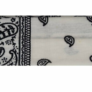 2110709034 Haarband stof - Paisley patroon 6cm - Wit