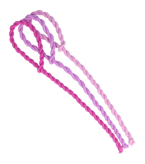 2113649850 Haarelastieken basic - Hair Tie koord - Paars - Set van 3
