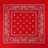 2115074205 Haarband bandana zakdoek – Paisley print katoen 55cm – Rood