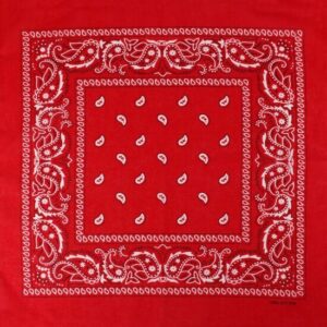Haarband bandana zakdoek – Paisley print katoen 55cm – Rood