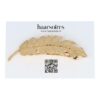 2155059060 Haarspeld Patentspeld Veervorm 9cm – Metaal – Goud