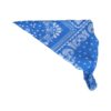 haarband zakdoek paisley print_15 Haarband Bandana - Paisley Patroon - Wit Blauw