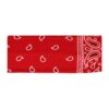 hb stof paisley print 7cm_9 Haarband Stof 7cm - Paisley Patroon - Rood