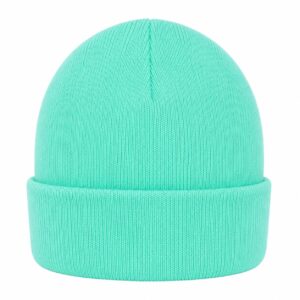 beanie-mintgroen Beanie Muts - Basic - Unisex - Mintgroen