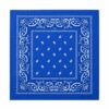 bandana-zakdoek-paisleyprint-blauw Bandana Zakdoek 55x55cm – Paisleyprint – Blauw