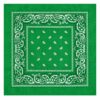 bandana-zakdoek-paisleyprint-groen-van-Haarsoires Haarband Bandana Zakdoek 55cm – Paisley Print – Groen
