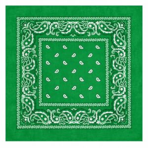 bandana-zakdoek-paisleyprint-groen-van-Haarsoires Haarband Bandana Zakdoek 55cm – Paisley Print – Groen