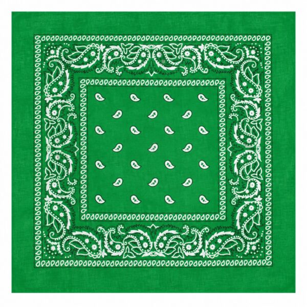 bandana-zakdoek-paisleyprint-groen-van-Haarsoires Haarband Bandana Zakdoek 55cm – Paisley Print – Groen