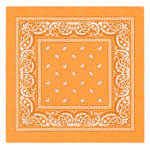 bandana-zakdoek-paisleyprint-lichtoranje-van-Haarsoires Haarband Bandana Zakdoek 55cm – Paisley Print – Lichtoranje