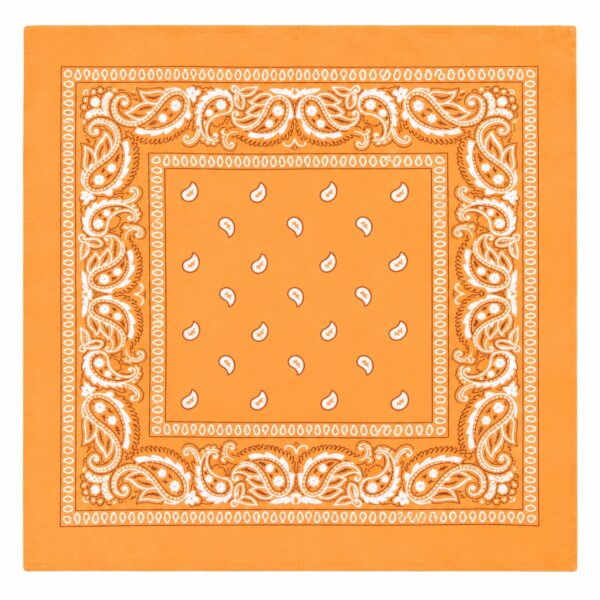 bandana-zakdoek-paisleyprint-lichtoranje-van-Haarsoires Haarband Bandana Zakdoek 55cm – Paisley Print – Lichtoranje