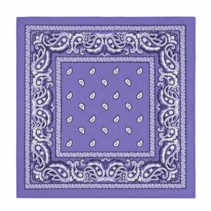 bandana-zakdoek-paisleyprint-paars Bandana Zakdoek 55x55cm – Paisleyprint – Paars