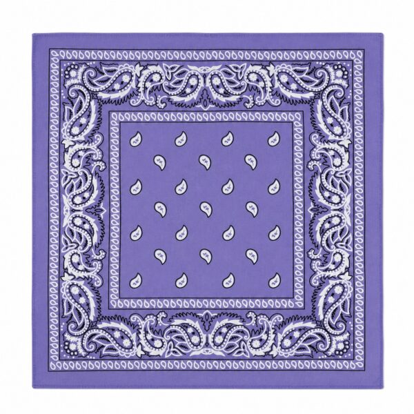 bandana-zakdoek-paisleyprint-paars Bandana Zakdoek 55x55cm – Paisleyprint – Paars