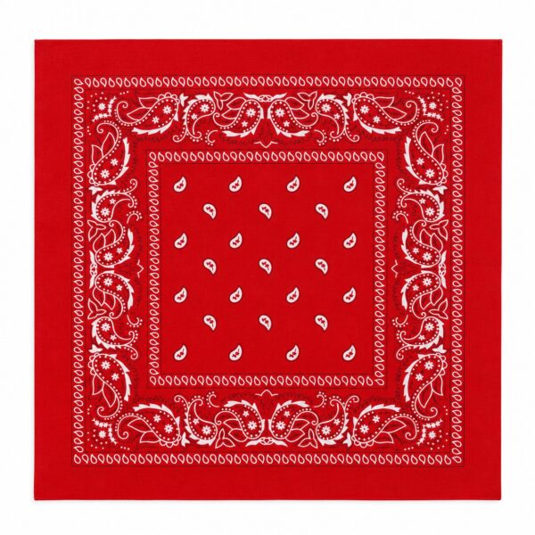 bandana-zakdoek-paisleyprint-rood Bandana Zakdoek 55x55cm – Paisleyprint – Rood