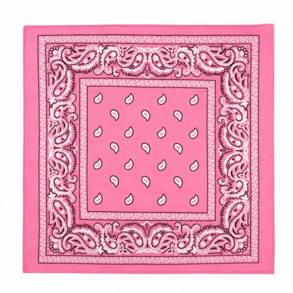 bandana-zakdoek-paisleyprint-roze Bandana Zakdoek 55x55cm – Paisleyprint – Lichtroze